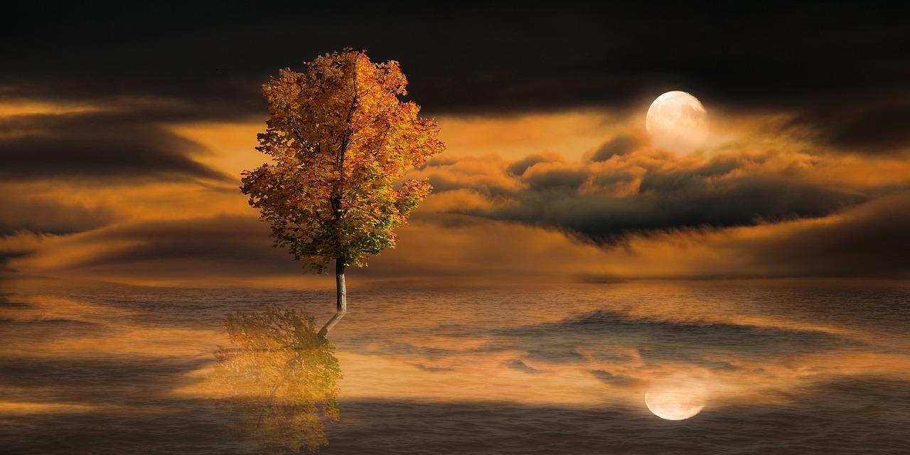 autumn full moon